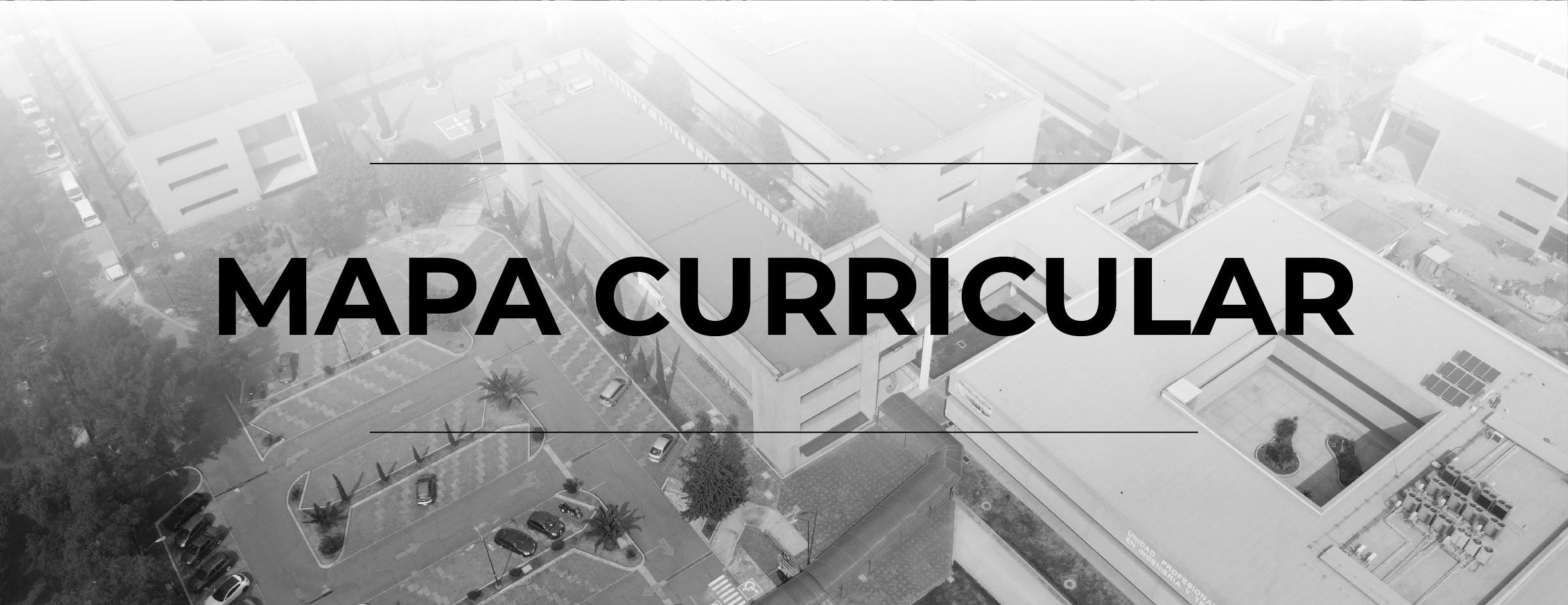 Mapa Curricular